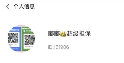 假嘟嘟骗子id:151906-王者代练圈子